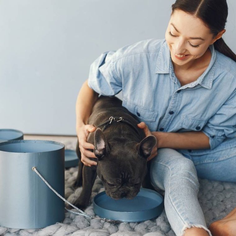 elegant-woman-blue-shirt-with-black-bulldog-min