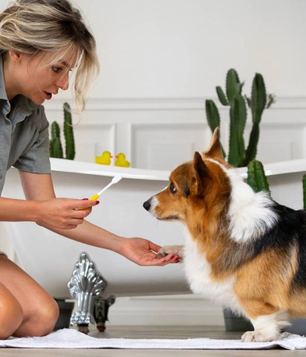 washing-pet-dog-home-min