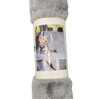 Back Seat Comfy Car Seat Cover