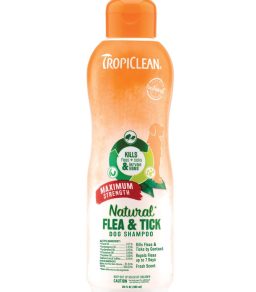 mmw_638745586707088174